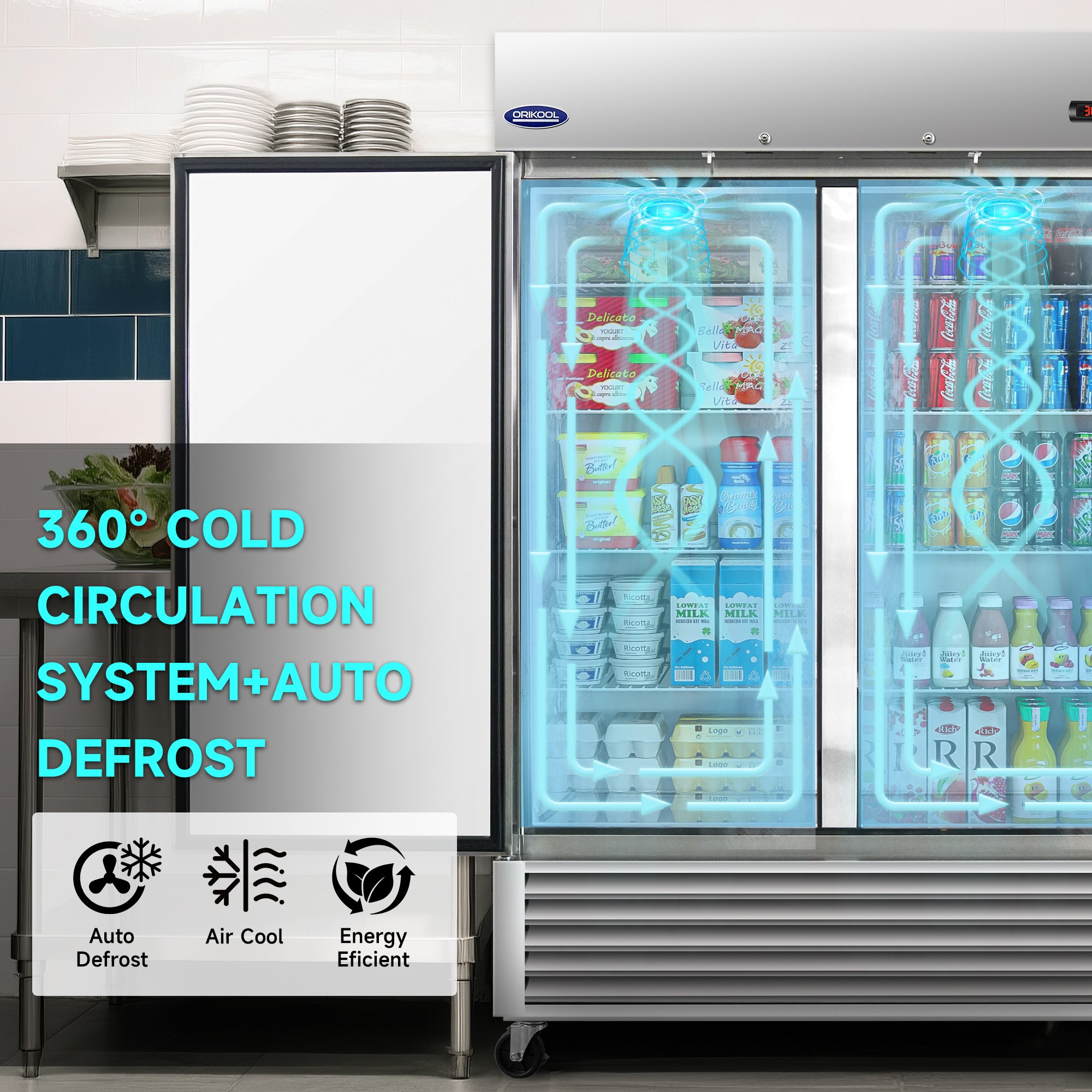 Double door commercial refrigerator with 360 degree cold air circulation and auto defrost system